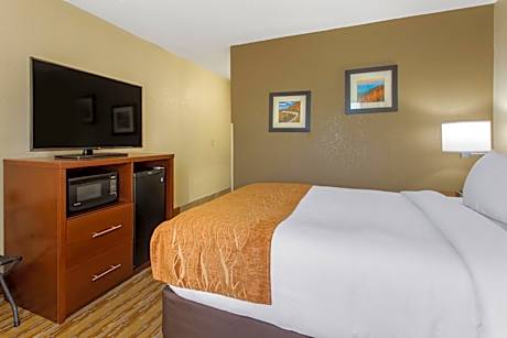 1 Queen Bed, Nonsmoking, Accessible