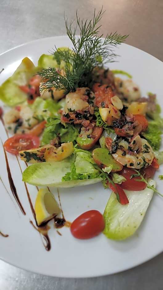 Aviator Hotel Restauracja & SPA