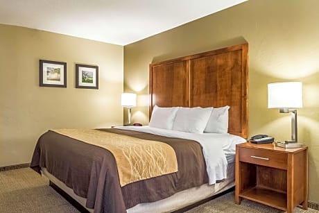 1 King Bed, Nonsmoking