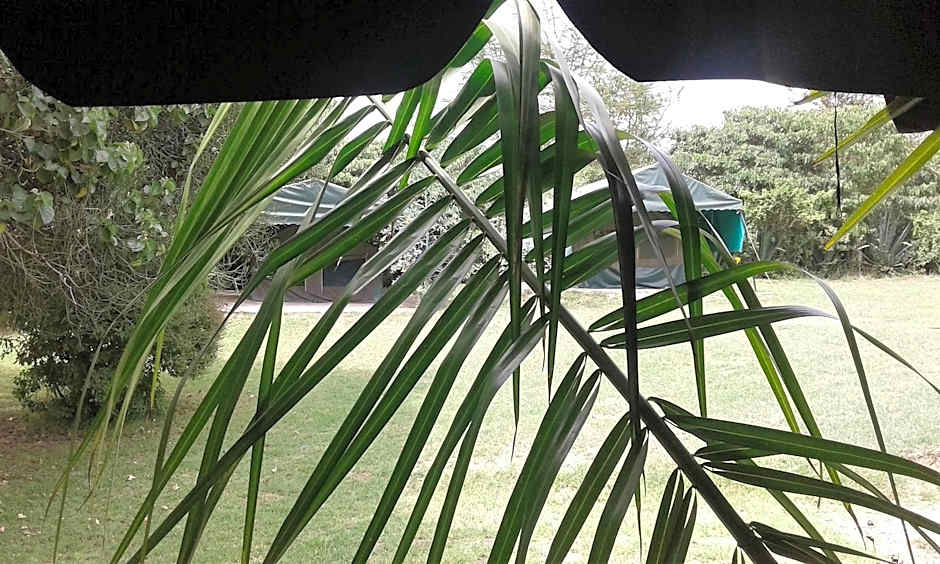 Cactus Eco Camp and Lodge