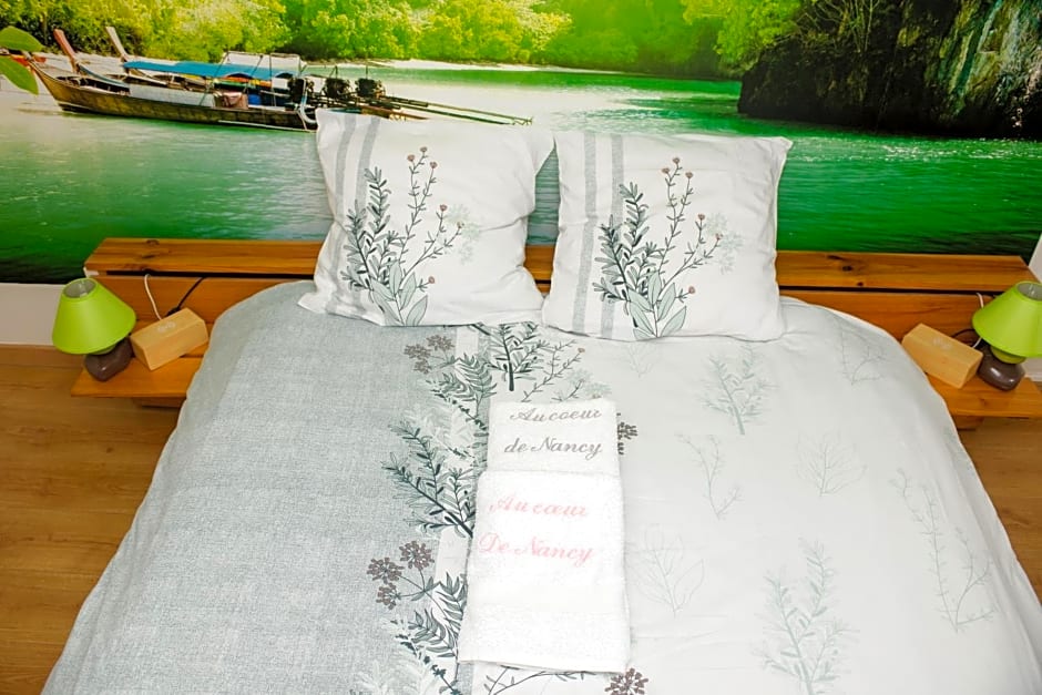 Chambre d'hôtes Au Coeur De NancyB&B