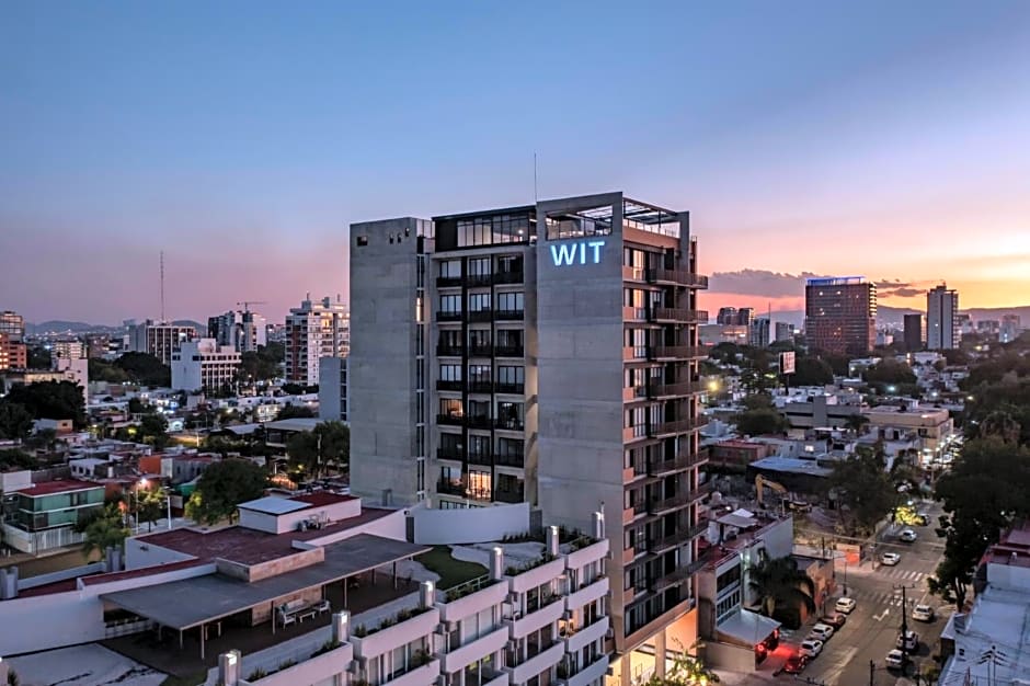 Eucalipto Flat Witgdl