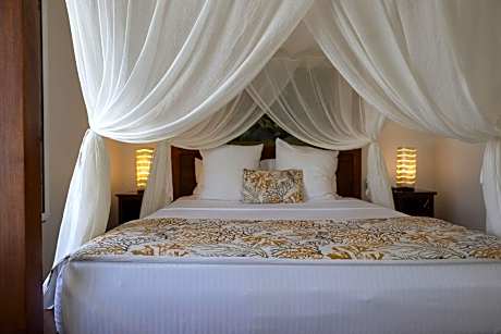 Suite with Hot Tub
