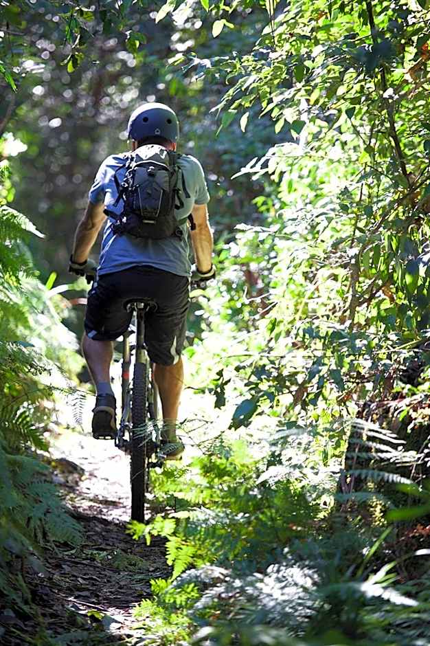 Clarendon Forest Retreat