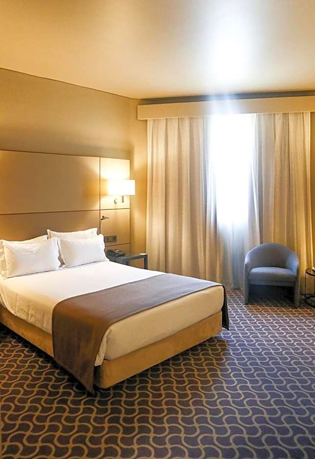 Hotel Dom Henrique - Downtown