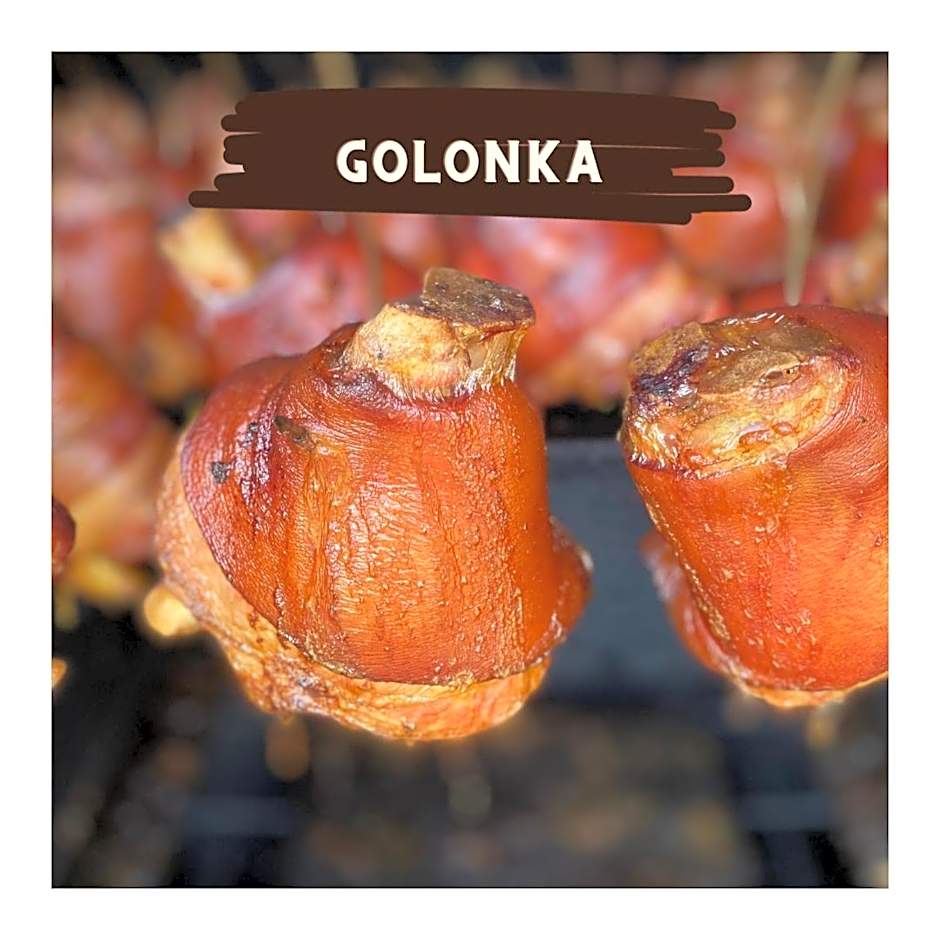 Olza Karczma i pokoje