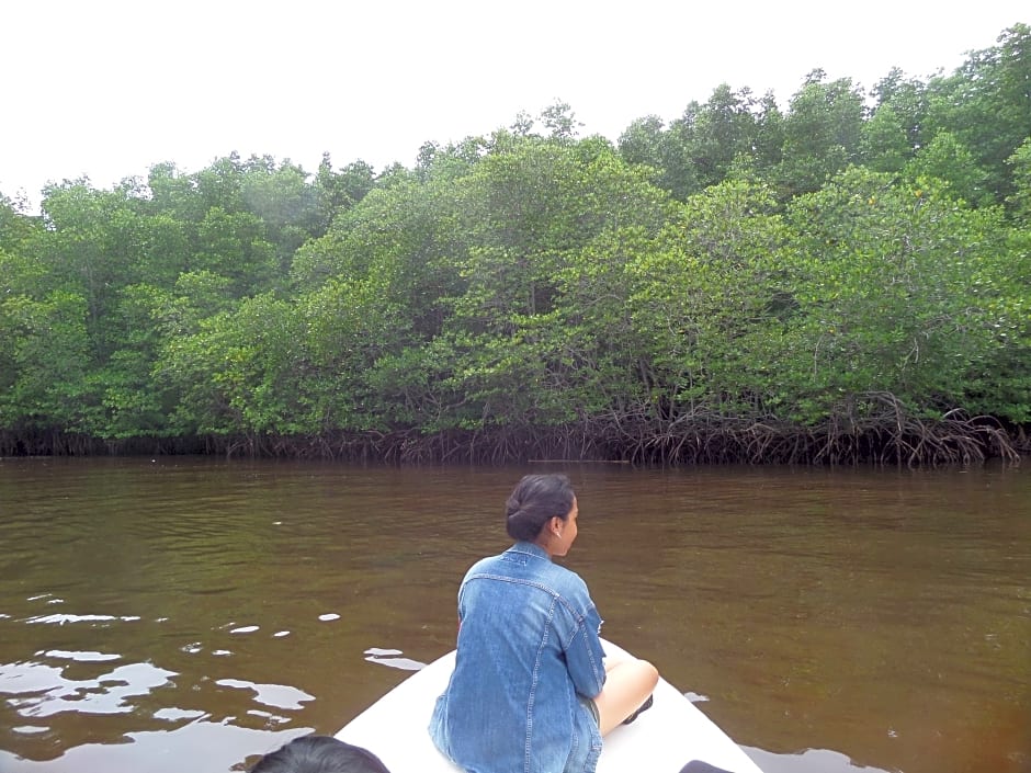 Mangrove Paradise Retreat