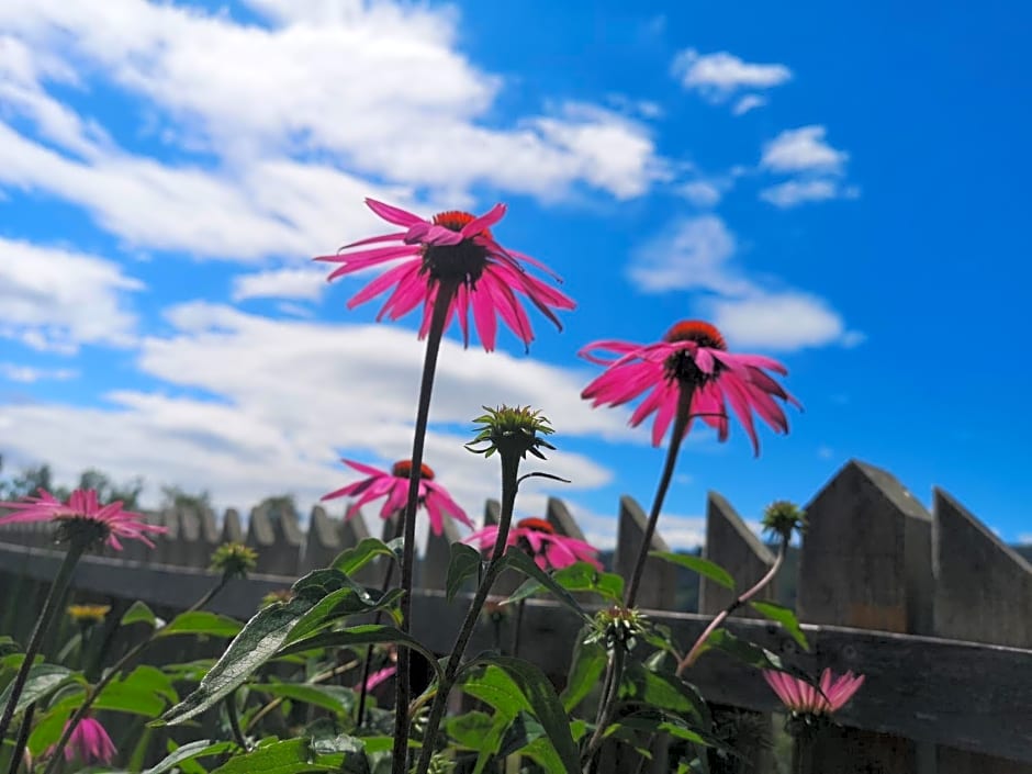 Kleinhofers Himbeernest