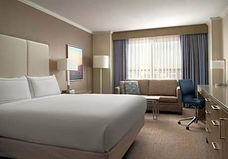 Deluxe King Room with Sofa Bed - Non Smoking