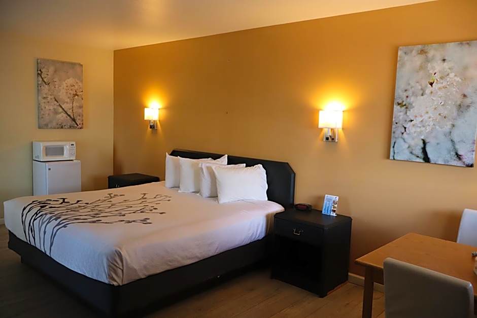 Black Canyon Motel
