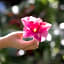 Lumeria Maui, Educational Retreat Center