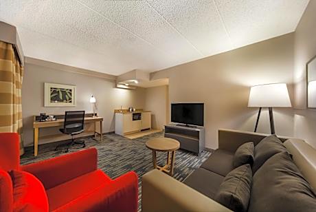 One-Bedroom King Suite with Sofa Bed - Non-Smoking