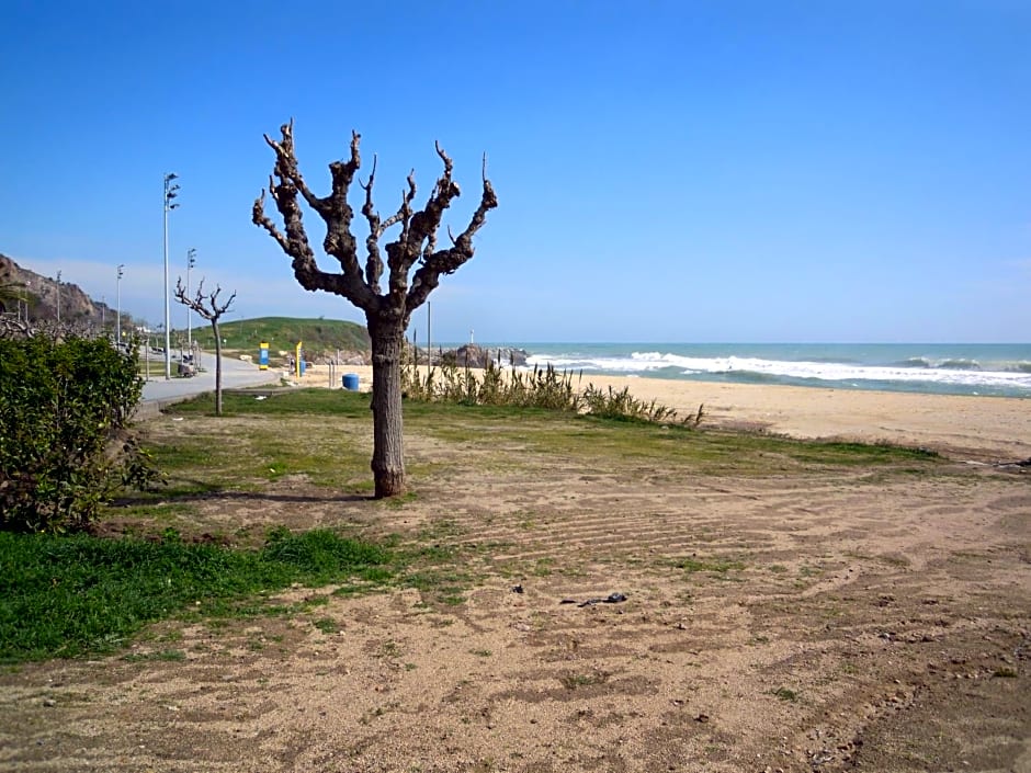Villa Beach Barcelona