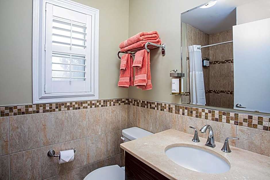 The Local - St. Augustine