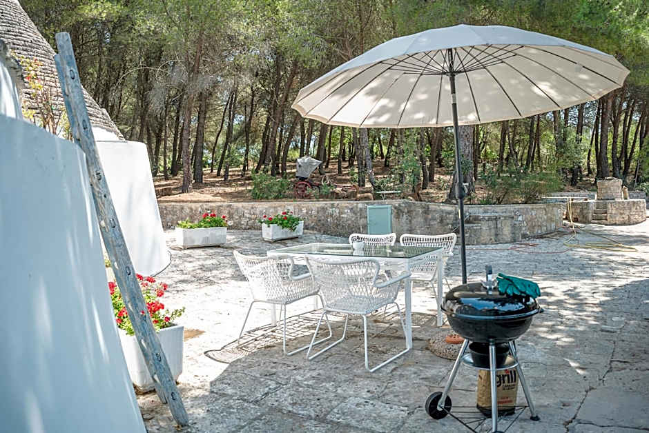 Ad un passo da Cisternino - Trulli con Foresta, Bici e BBQ