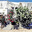 Porto Sikinos Hotel