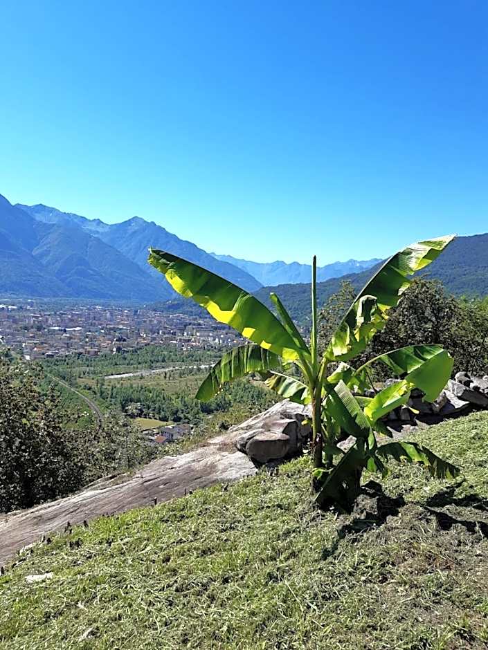 Ossola dal Monte - Affittacamere
