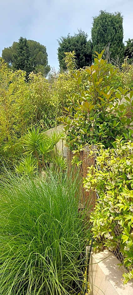 Les Chambres d'Hôtes du Grand Mornas