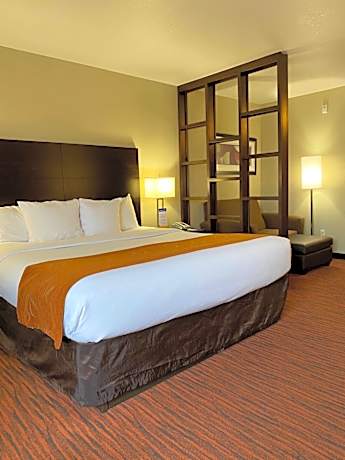 King Suite - Accessible/Non-Smoking