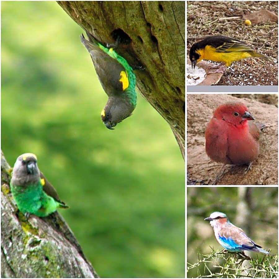 African Sunrise Lodge and Campsite