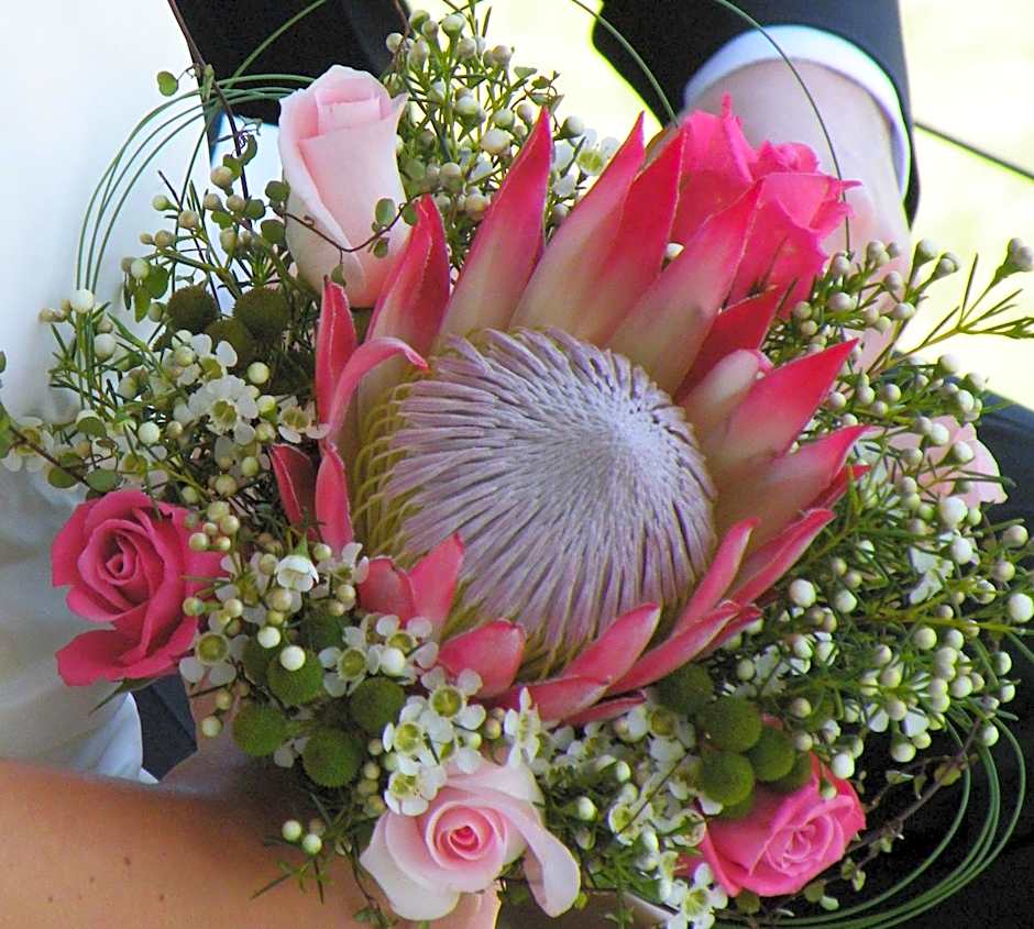 138 Marine Beachfront Guesthouse