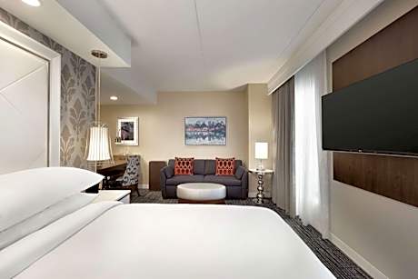 Premium One-Room King Studio Suite