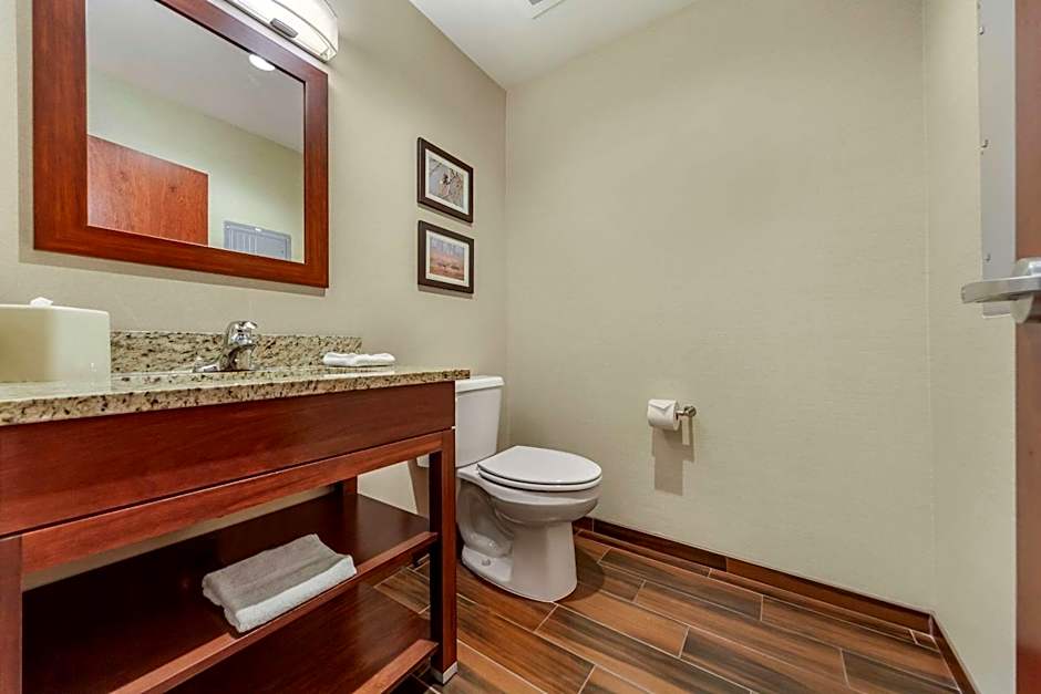 Comfort Suites Grand Island South