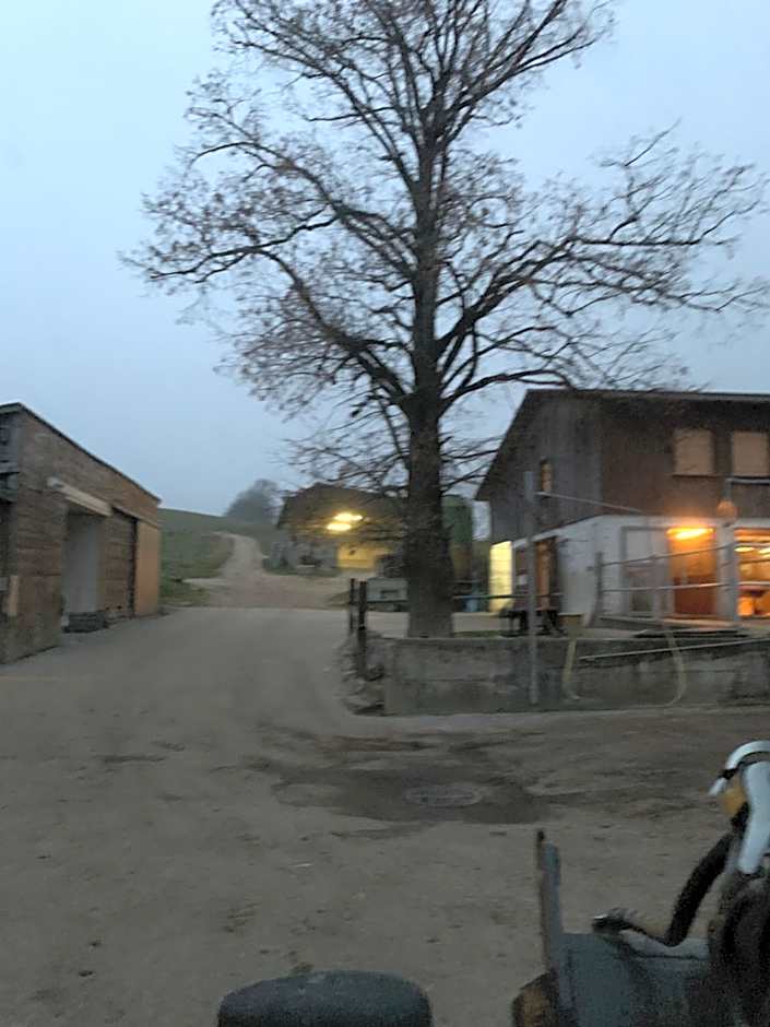 Chez Dodo 2534 Orvin Le Foncet