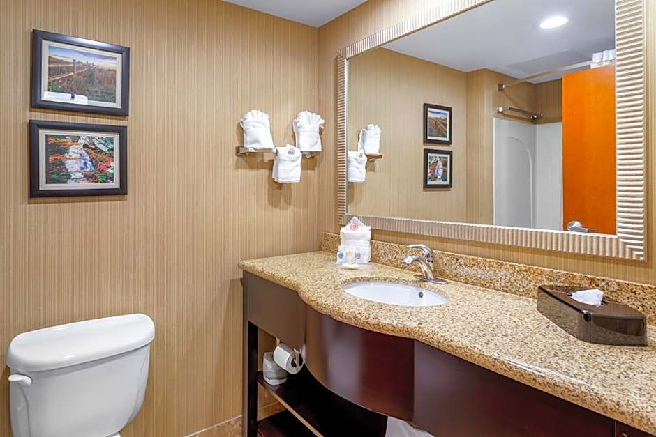 Comfort Suites Knoxville North