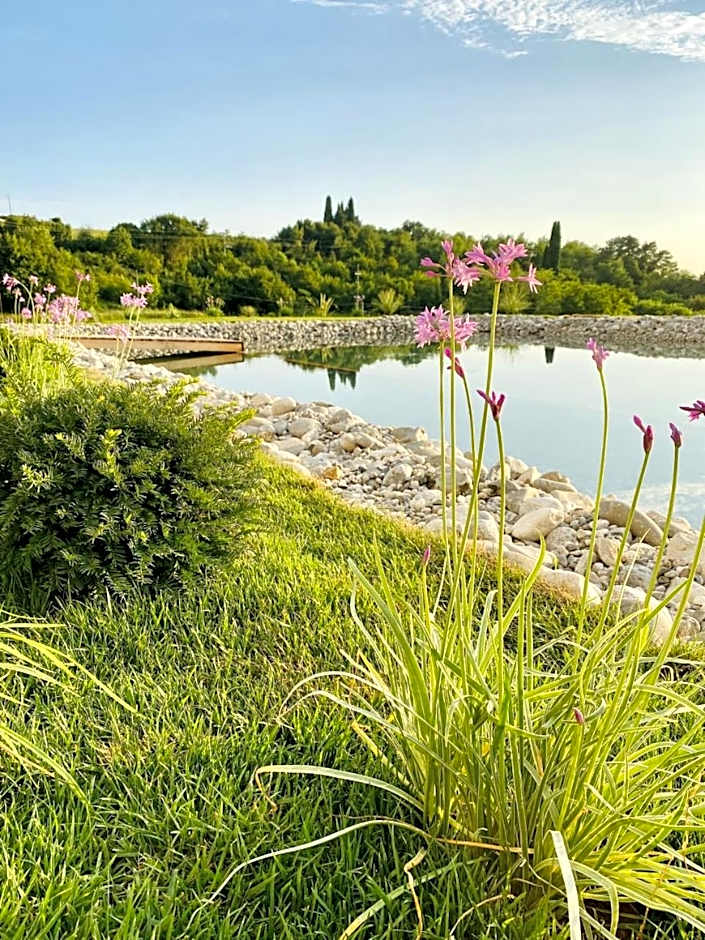 Casa Dante - Boutiquehouse TomR