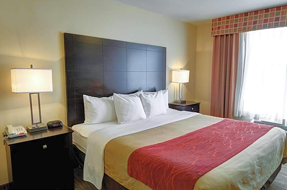 Comfort Inn & Suites Amarillo West Near Medical Center