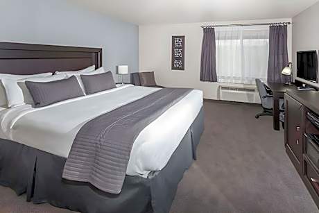 1 King Bed Non-Smoking