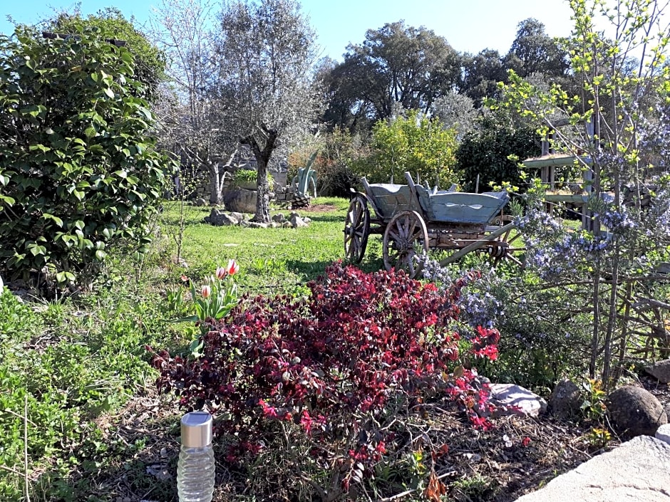 Gîte atypique Le Pod au coeur du maquis