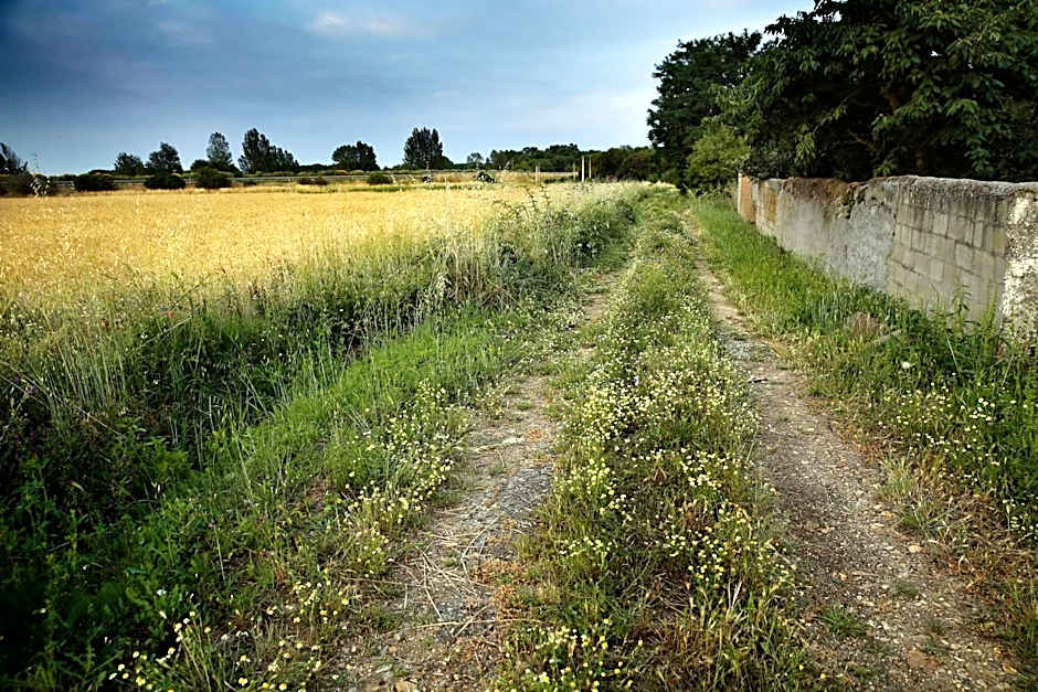 Señorío de Los Bazán