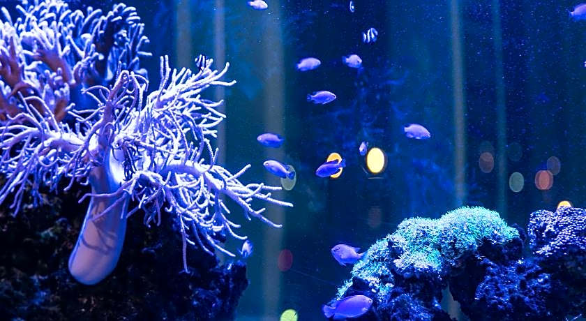 Naha Tokyu REI Hotel