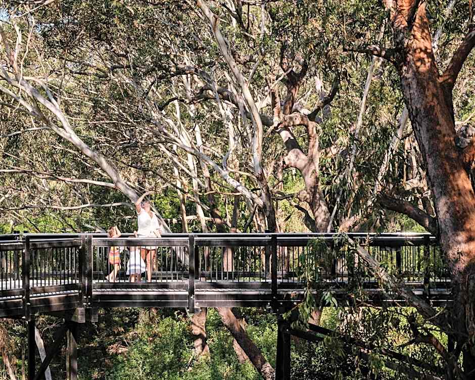 Port Stephens Koala Sanctuary