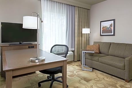 1 King Bed Studio Suite W/ Sofabed Nonsmoking