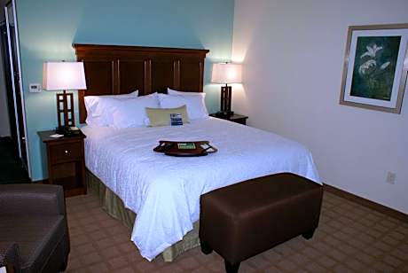 King Room with King Bed - Non-Smoking