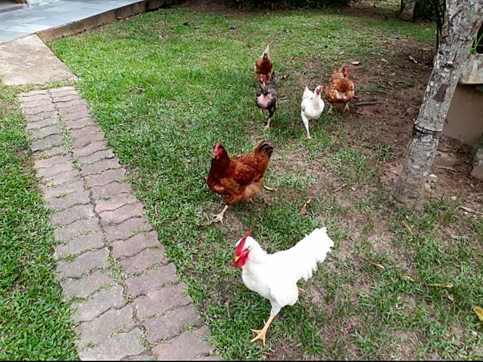 Alegria casa 3 dorms Cond Fechado churrasqueira piscina