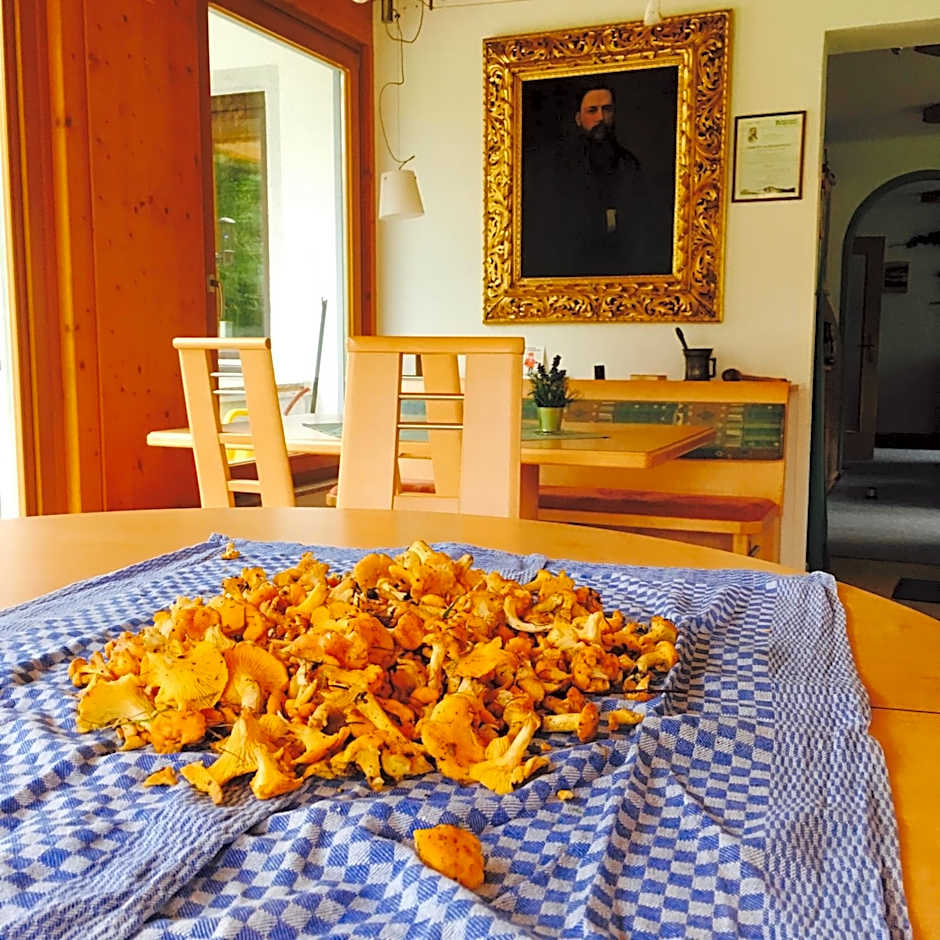 Apartments Hohenberger Mallnitz - Tauernbad und Sauna im Winter inklusive!