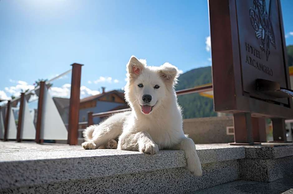 Hotel Arcangelo 3 stelle Superior