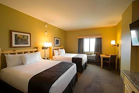 Double Queen ADA Tub