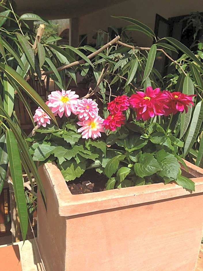 Bagno Santo Residence