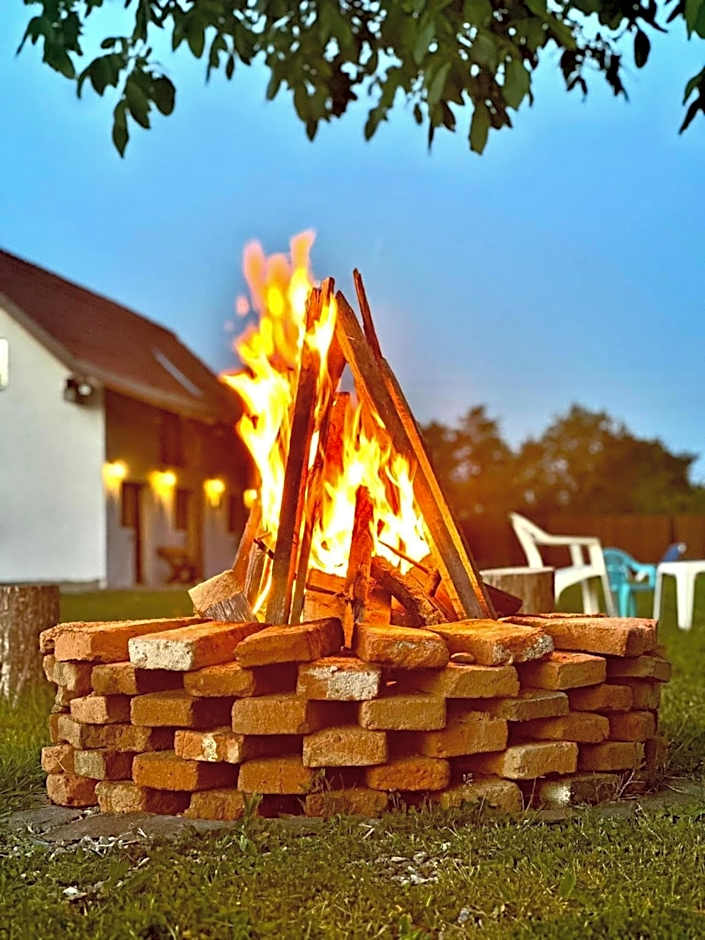 Casa de Lemn Arpasu de jos