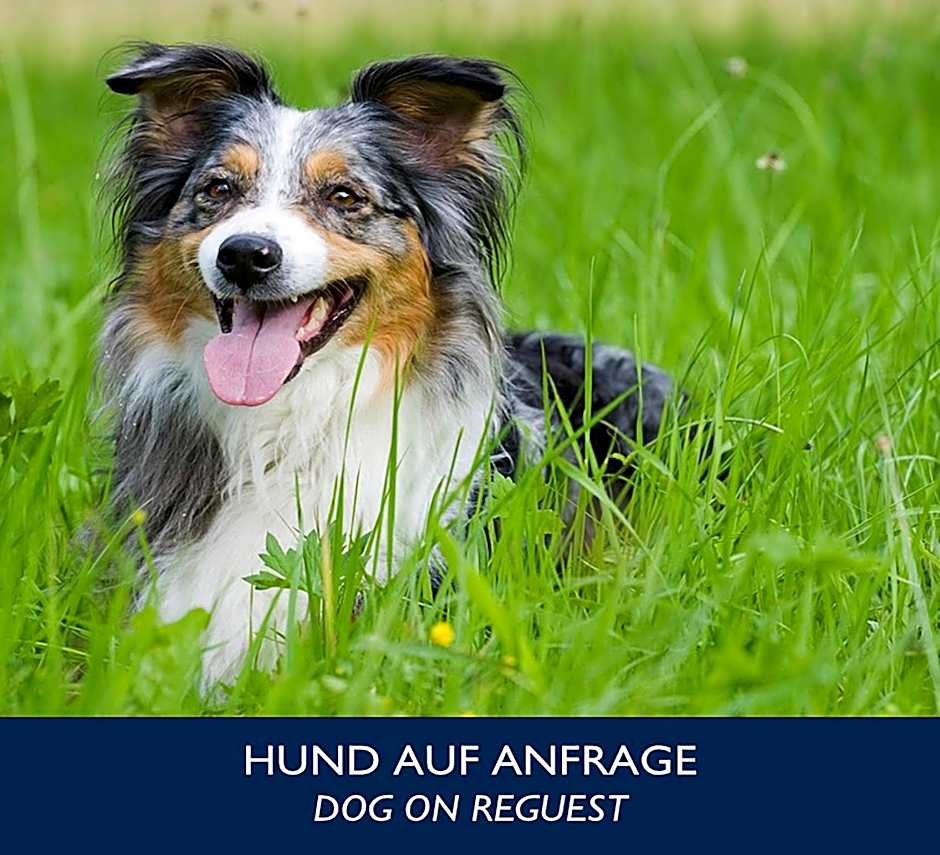 City Hotel Dresden Radebeul