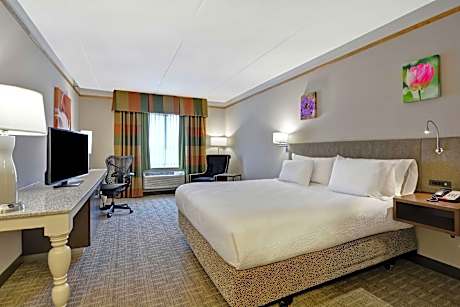 1 King Bed