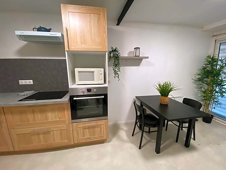 COSY & SPA Appartement Luxe JACUZZI SAUNA Suite Cristal