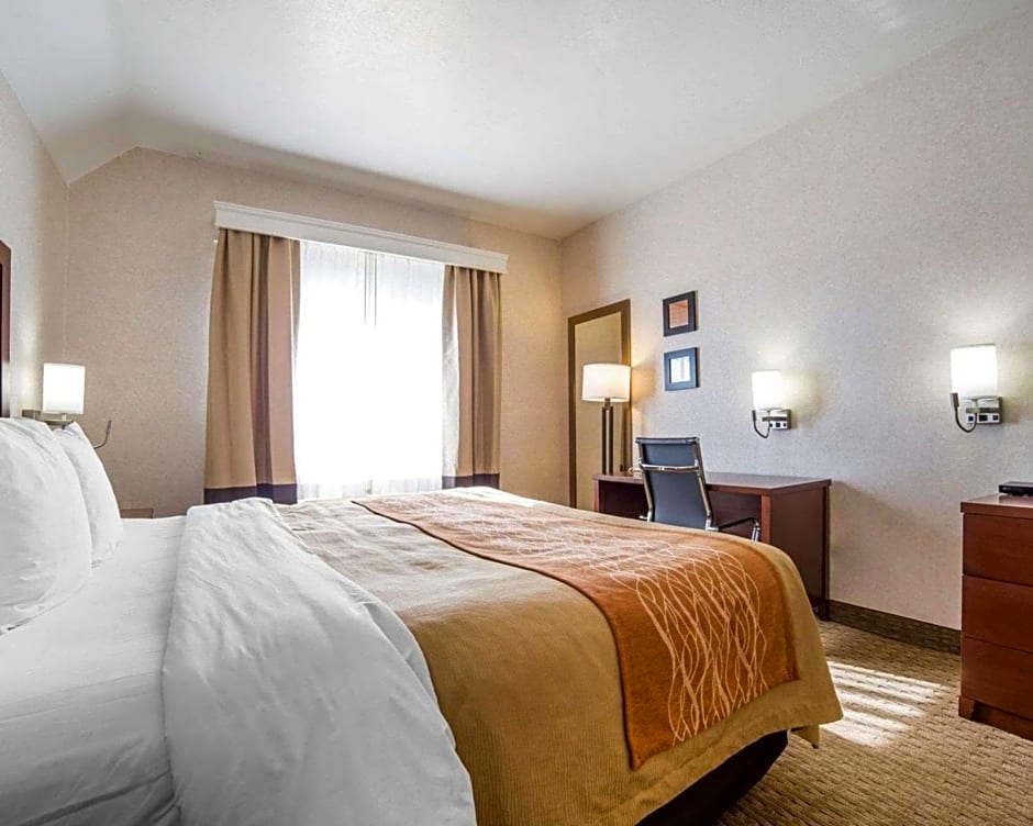 Comfort Inn Elko