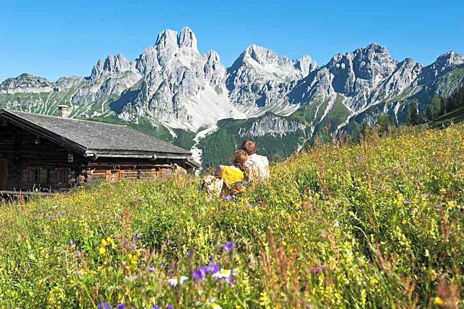 Hotel Dachstein