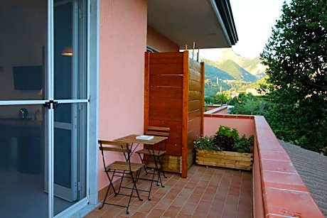 Deluxe Double or Twin Room with Balcony